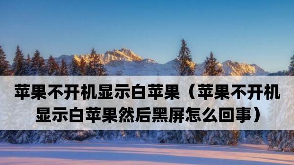 手机黑屏死机开不了机修复方法大揭秘（轻松解决手机黑屏死机问题）