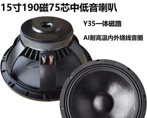 八寸喇叭音箱选购要点是什么？哪种更合适？