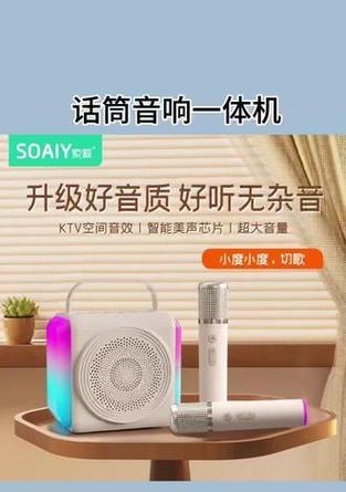 索爱小音箱使用方法是什么？如何进行基本设置？