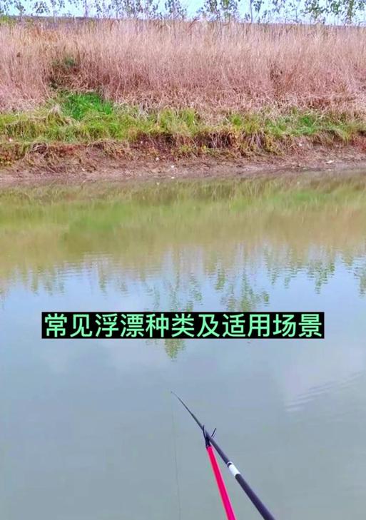 浮标摄像头手机拍照操作方法是什么？