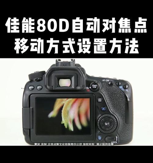 佳能D600相机参数调整方法是什么？