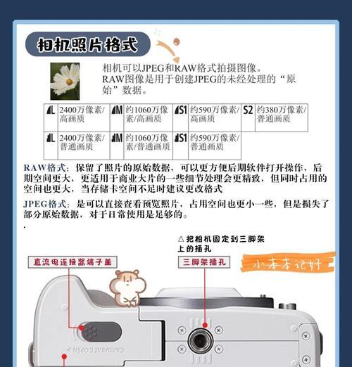 佳能相机转接手机软件怎么用？使用过程中有哪些技巧？