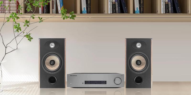 劲浪A25A4低音炮属于哪个档次？它的性能如何？